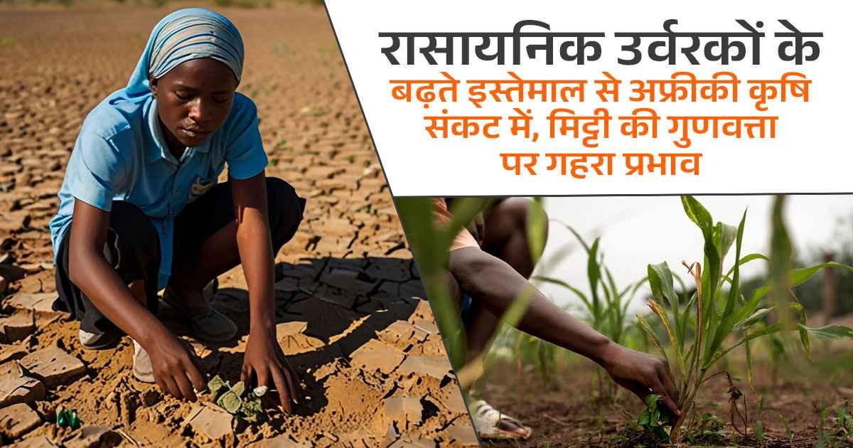 अफ्रीका में रासायनिक उर्वरकों के अत्यधिक उपयोग से मिट्टी की उर्वरता कम